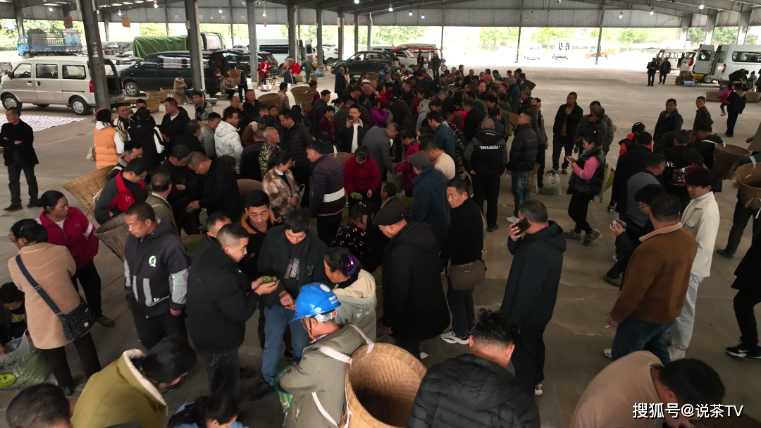 一周茶事 | 四川,湖北,贵州,广西,浙江等地春茶陆