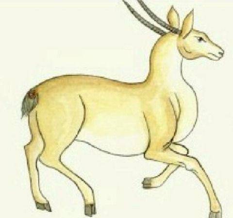 罴有兽焉,其状如牛而三足,其名曰獂,其鸣自.