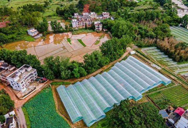 金石期货与叶城二牧场共谋发展,叶城二牧场乡村振兴再上新台阶_帮扶