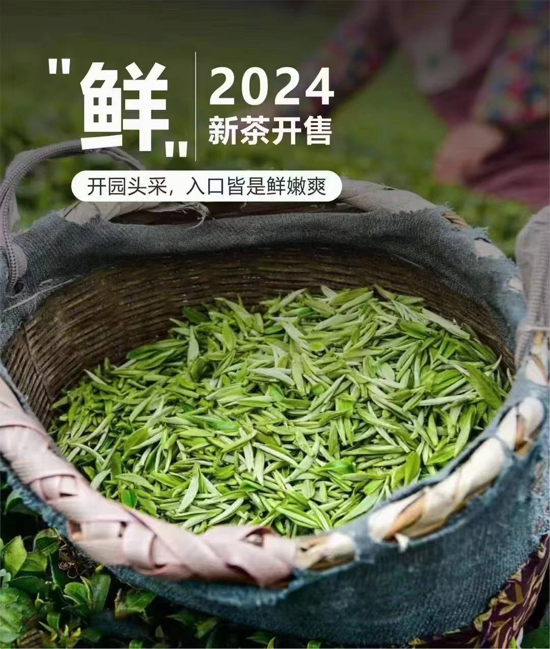 茶农:13814860685春茶:一口春天的味道,洞庭山碧螺春茶产地:苏州洞庭