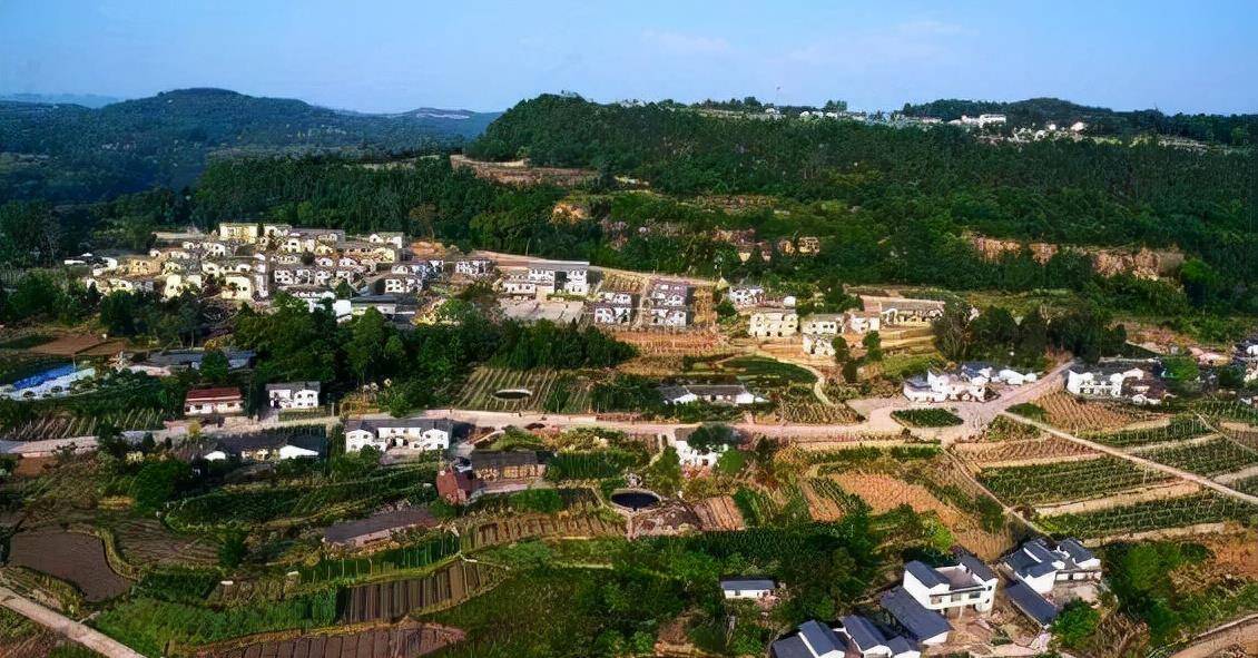 四川通江2万头野猪成灾,杀一头赚2000,职业猎人:不