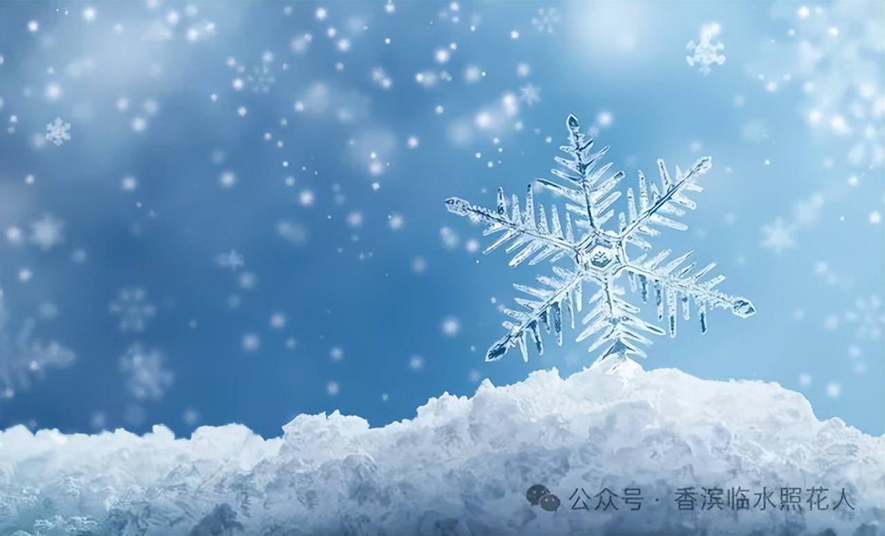 【第十一届创意作文大赛优秀作品展示】燕熠圻《下雪的时候》(26)