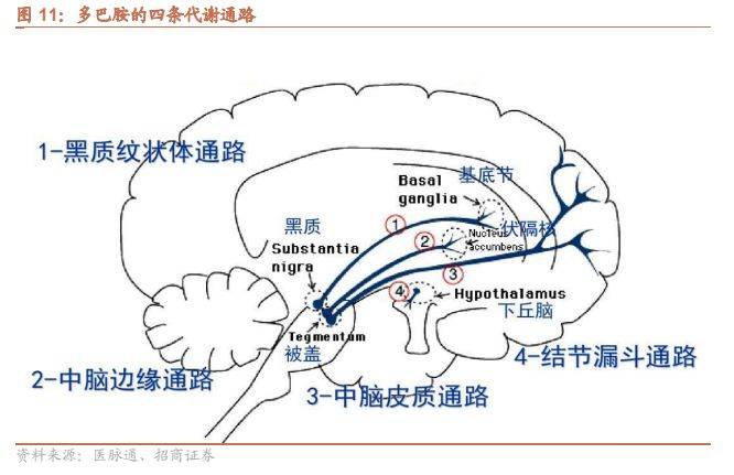 中枢神经系统疾病深度