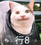 他俩从认识到承认恋情只用了一个月的时间?_柳智敏_李宰旭_米兰