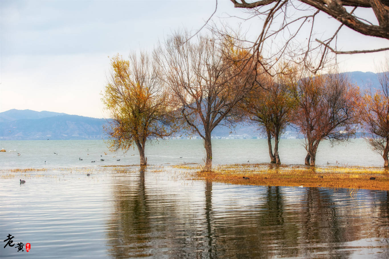 去大理旅游必去的古镇,风景怡人,生活节奏舒缓,让人流连忘返_游客