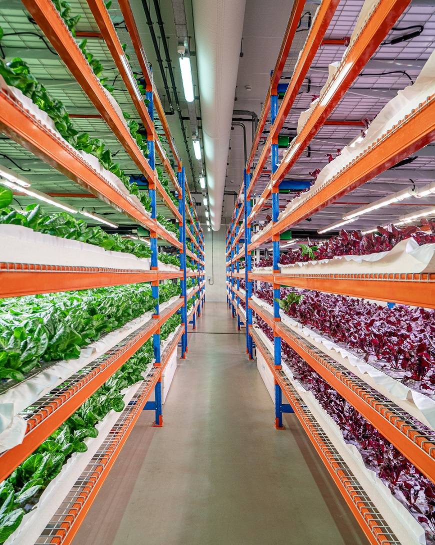 迪拜垂直农场bustanica|广州旅游媒体_生产_食物_农业