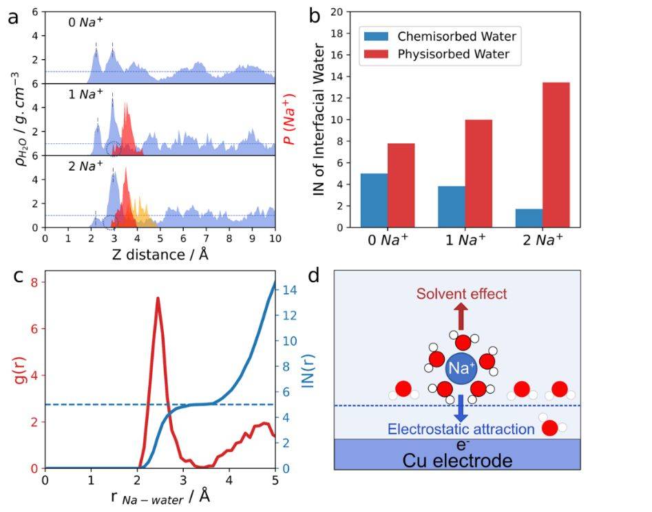 acs catalysis:覆盖度诱导的界面阳离子去水合化促进