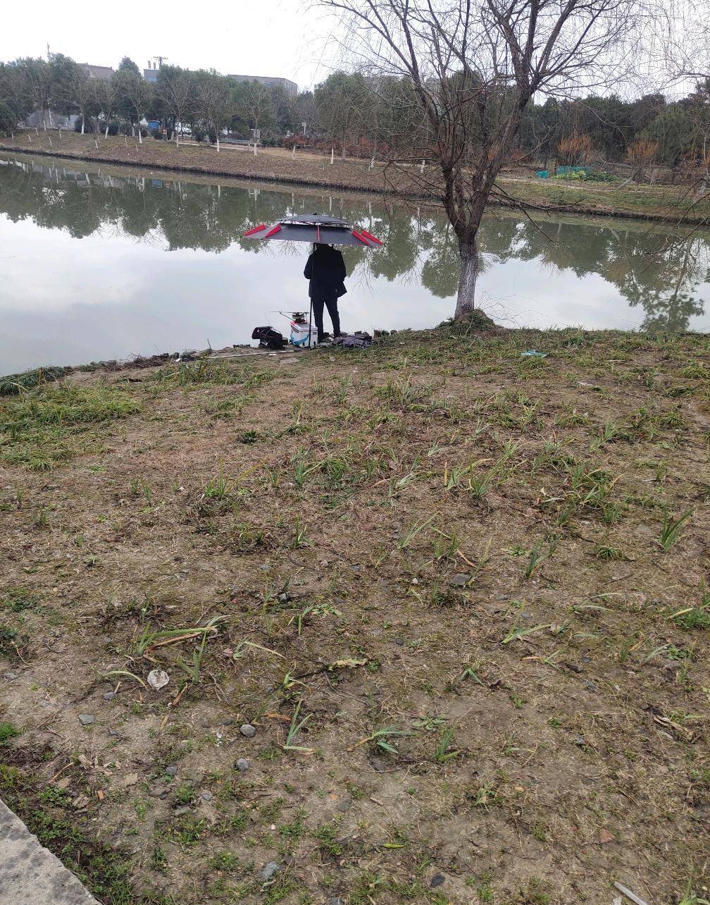 春季钓鱼到底有没有上鱼的黄金期,来看老钓鱼人的分析_鱼情_温度_春雷