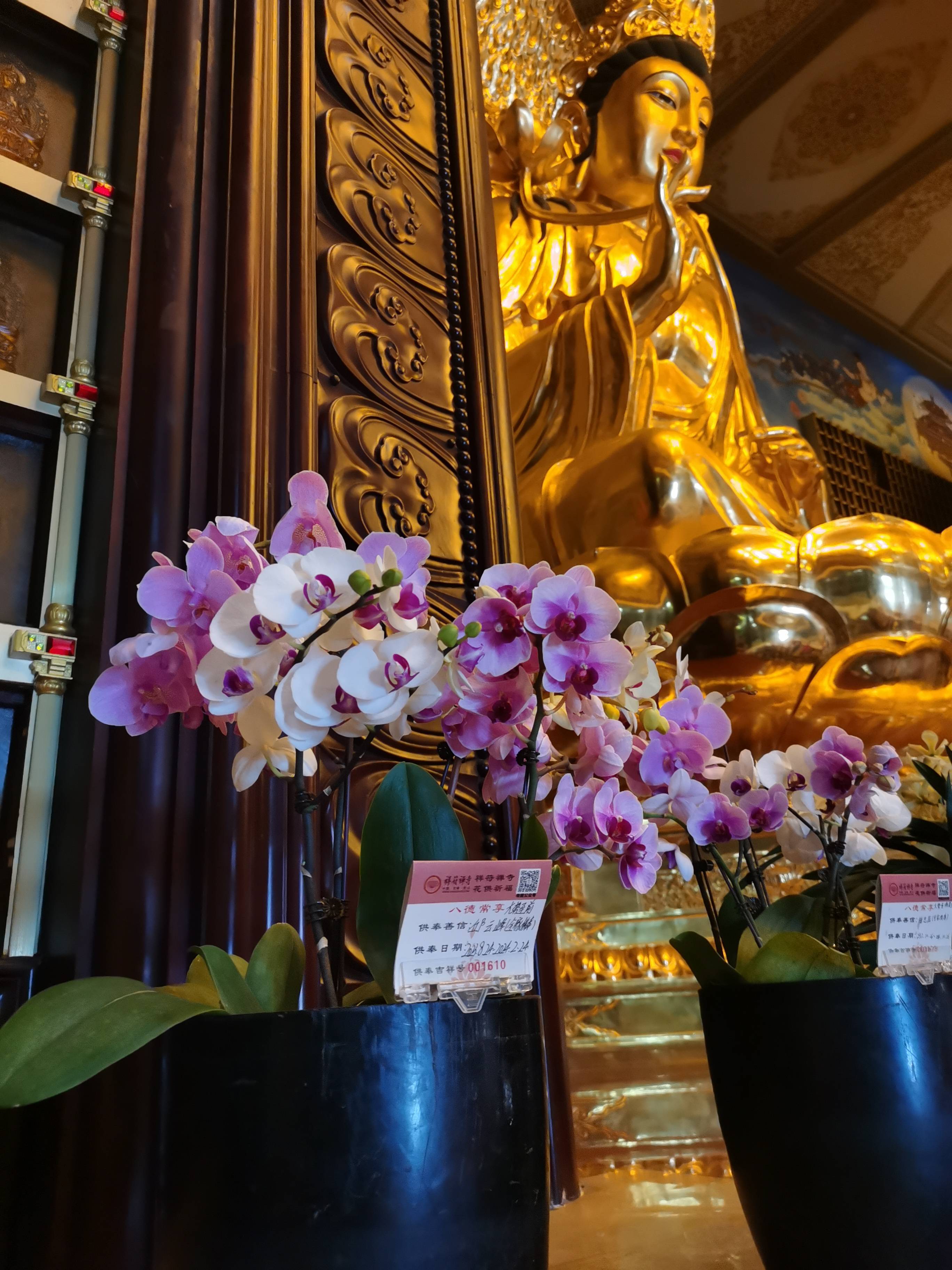 供花深刻认识[佛前供花],一生处世如花_鲜花_供养_莲花