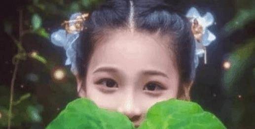 古人将"豆蔻年华"喻为13岁女子,豆蔻二字,是啥意思?_杜牧_扬州路_少女