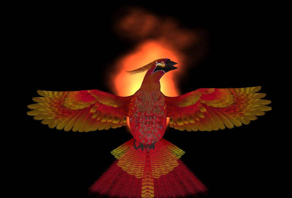 凤凰的第九子是上古邪鸟,传说死在了青丘_孔雀_大鹏_形象