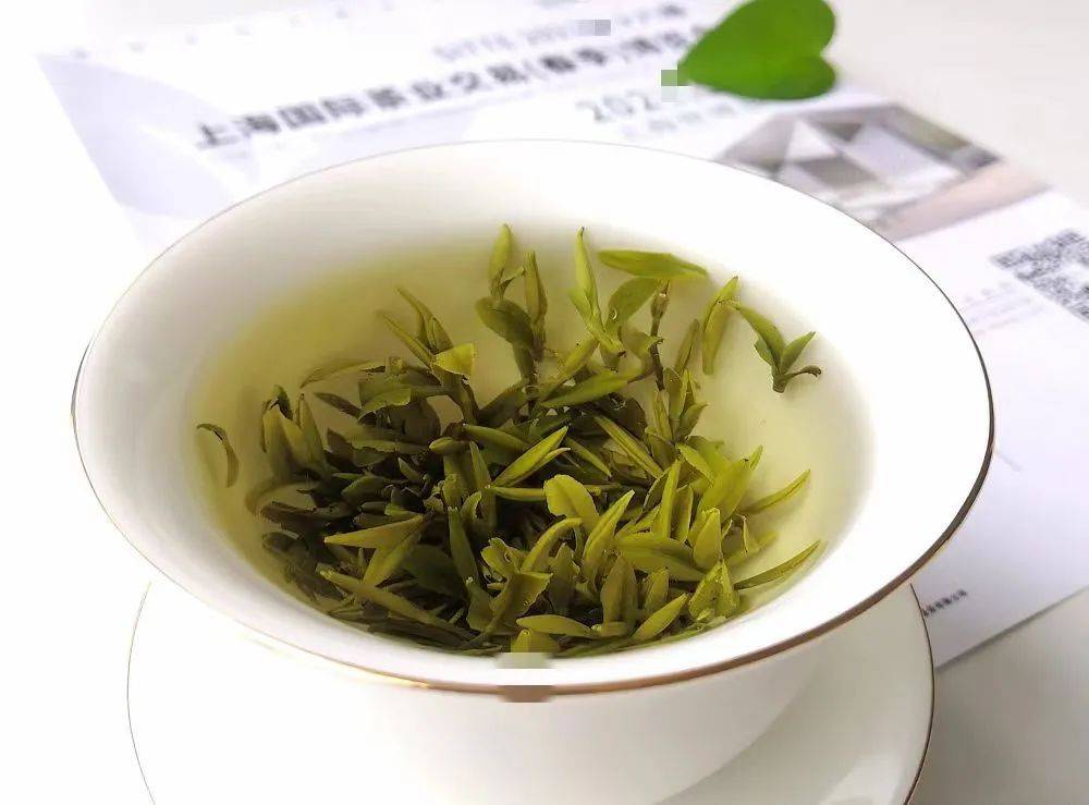 快来学一学:好不容易买到的春茶,怎么冲泡色香味更佳?