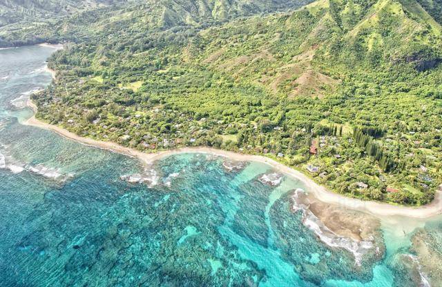 全球最湿润的地方,每年下11个月的雨,木屋顶上都长