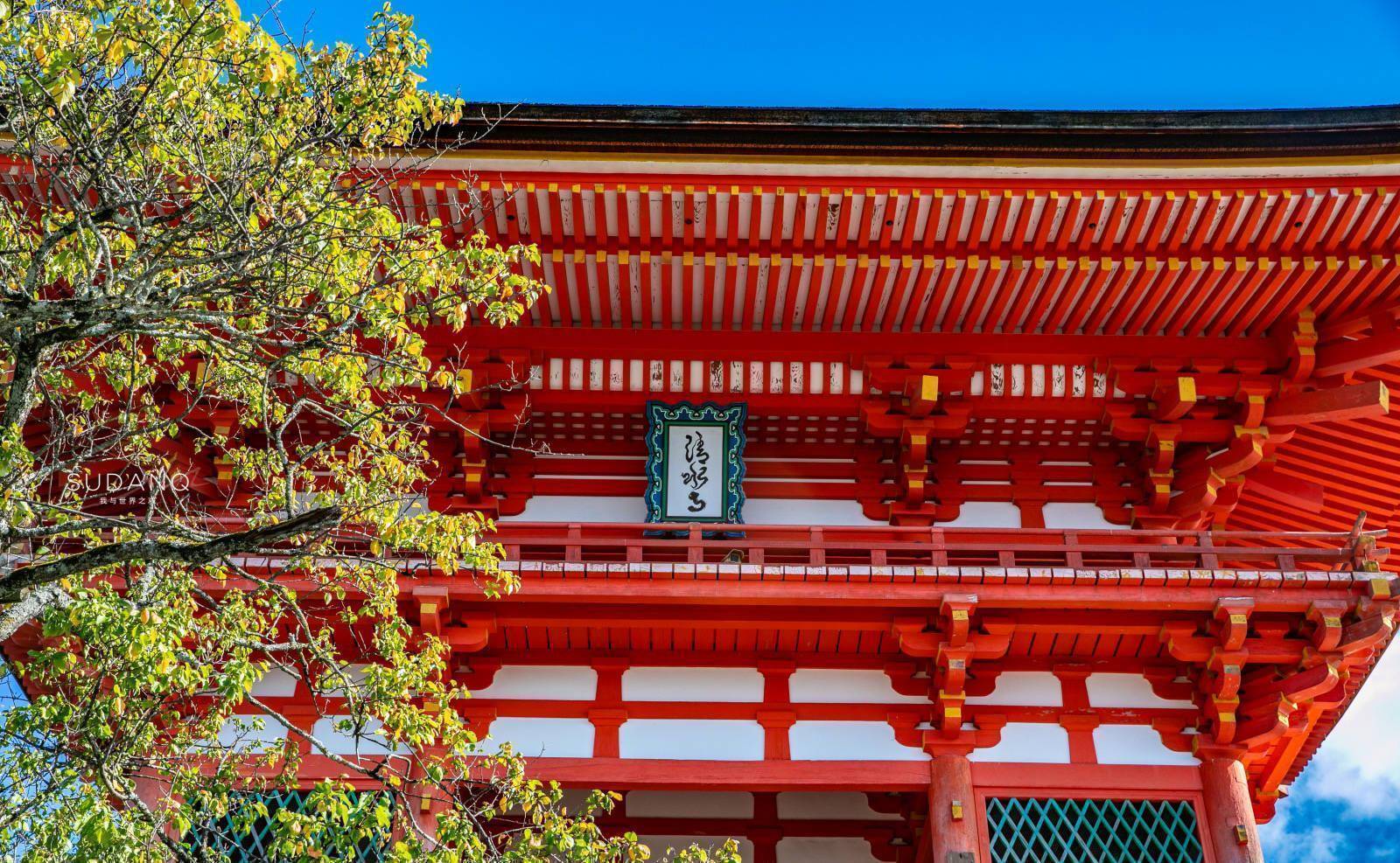 日本这座寺庙屡建屡毁,却是日本国宝级建筑,还成为世界遗产_清水_中国