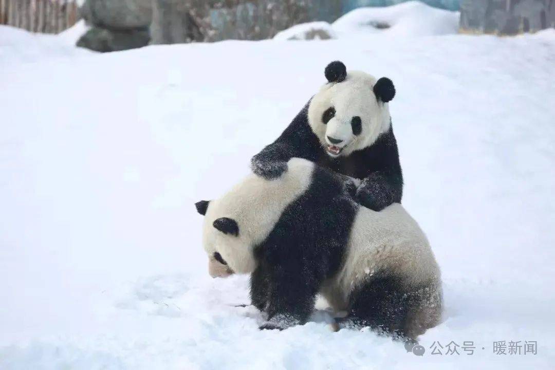 保证惊艳你的朋友圈!_文化_建筑_城市