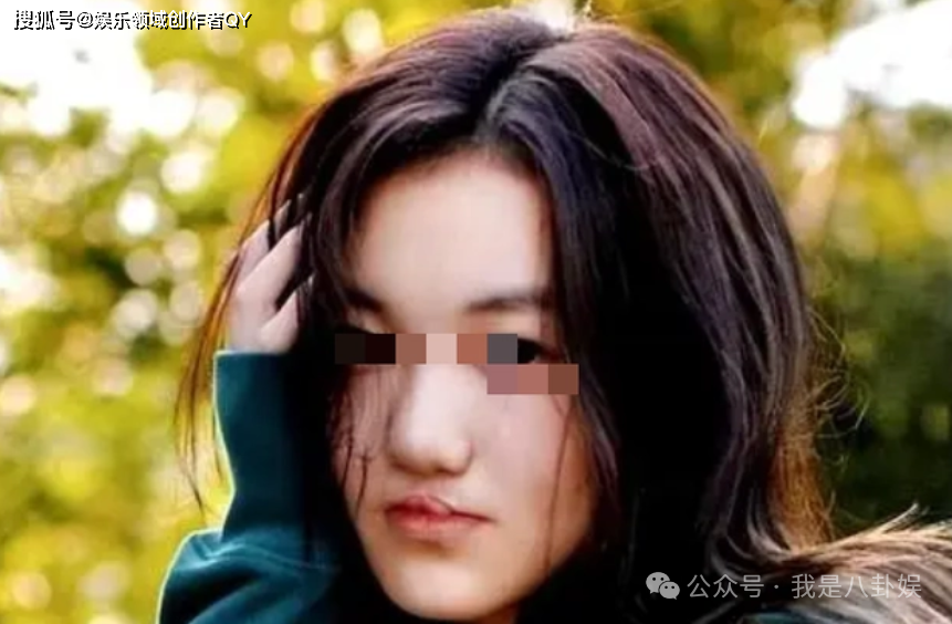 小嫣_李亚鹏_哈金