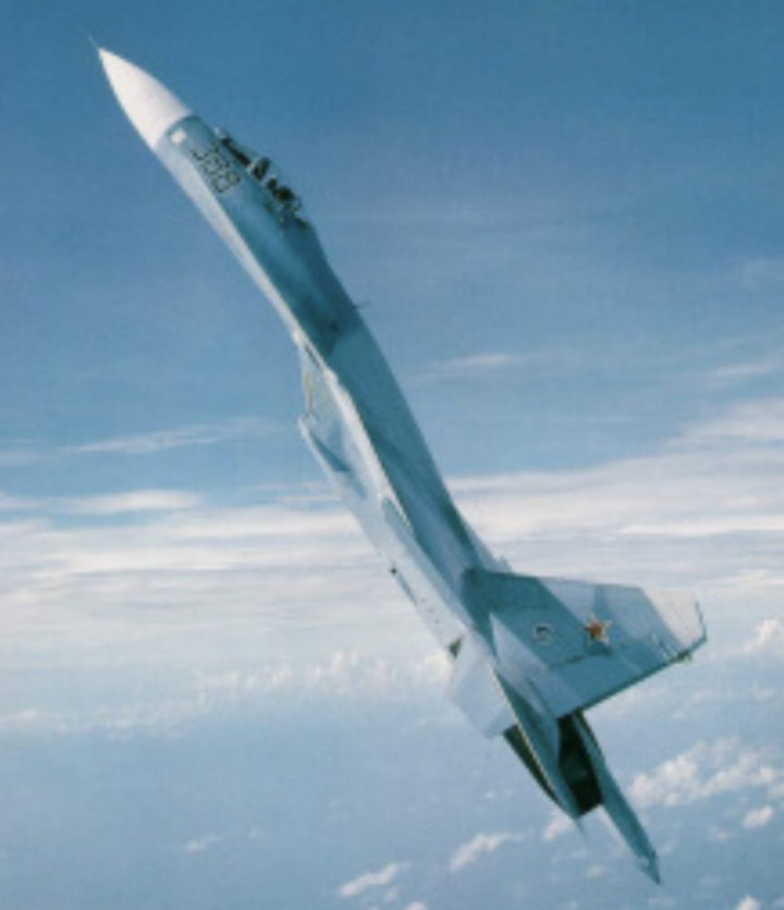 1991年我国为买苏联战机,三省消灭18万只狗,制出一万件狗皮大衣_战斗