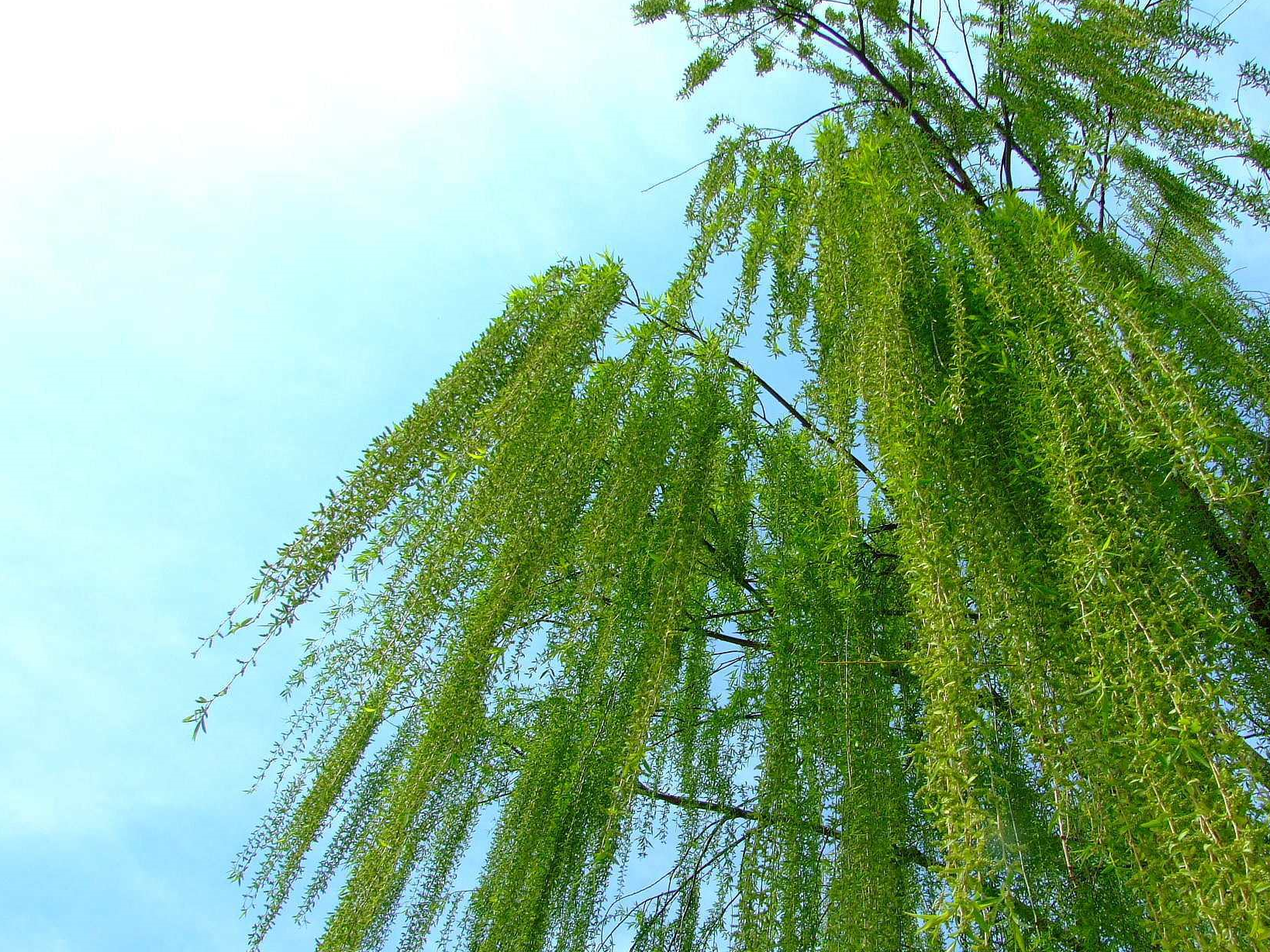 诗作_唯美_中国