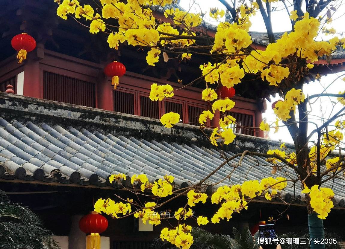 与众不同,攻略来了_花儿_千年_光孝