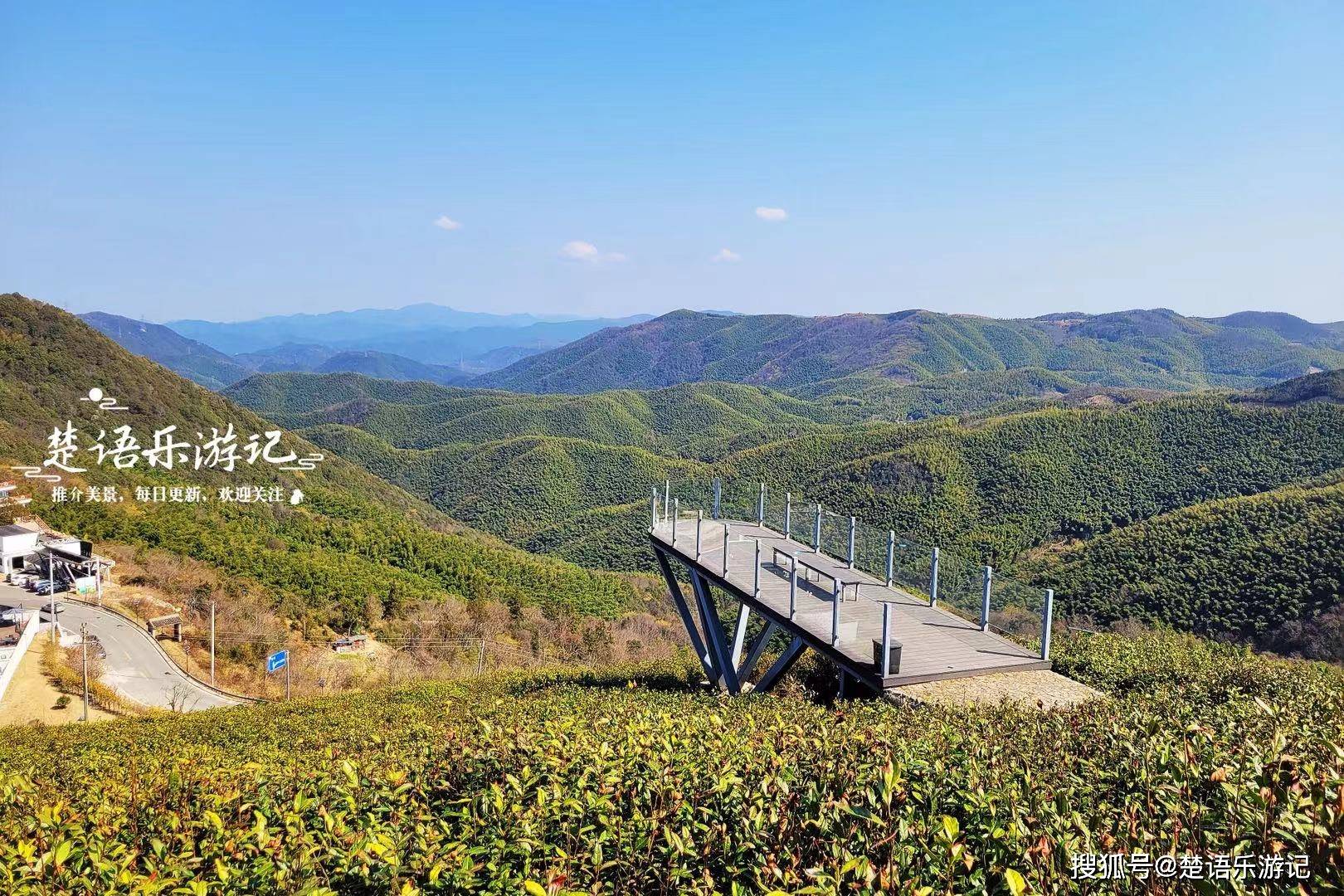宁波松石岭古道风景线,梯田花海和悬崖峭壁相映,赏花徒步两相宜_茶园