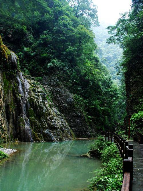 重庆旅游团4日游费用,跟团到黑山谷四天路线攻略_行程_美景_城市