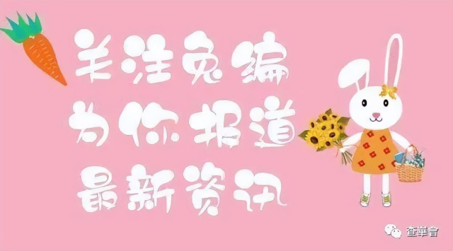 专家解读_生活_规定_双方