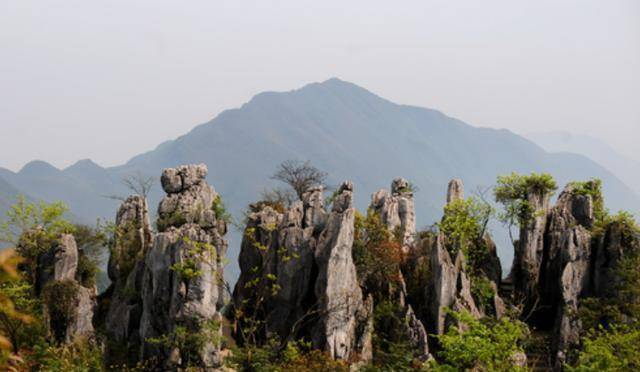 曾经每月接待数万游客,如今却很冷清_旅游_华蓥山_景点