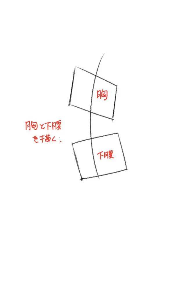妙笔成画教育:人物转身的动作怎么画?教你转身回头姿势的画法技巧!