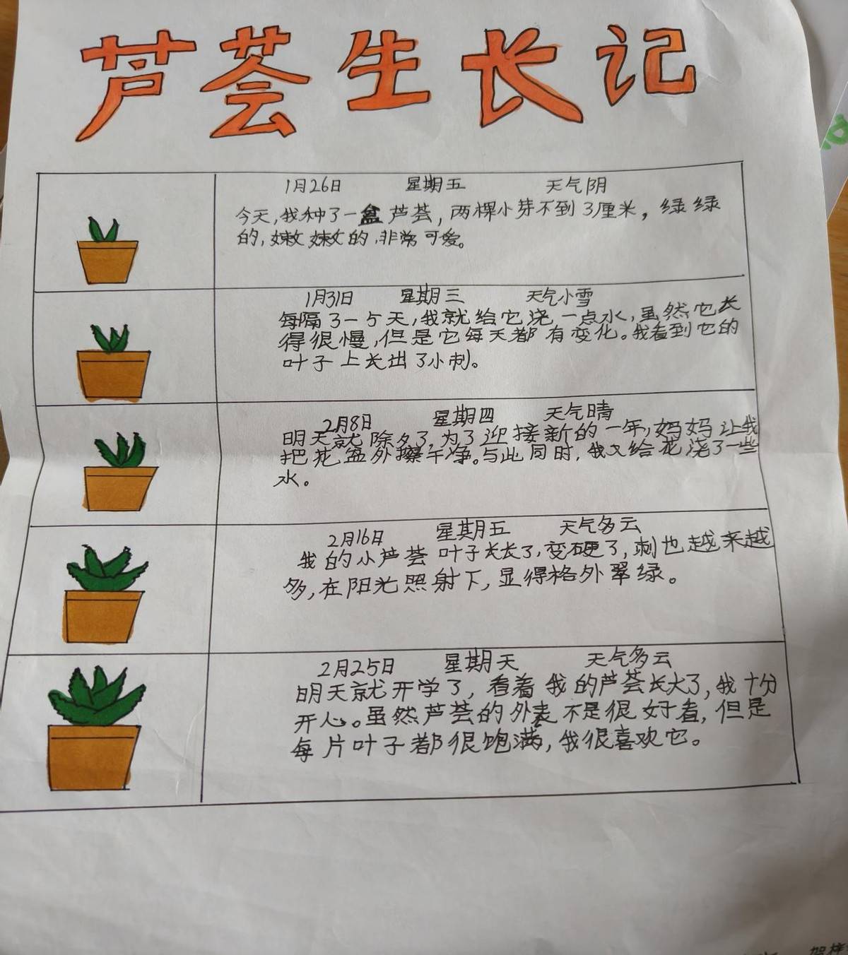 小学生植物种植记录表图片