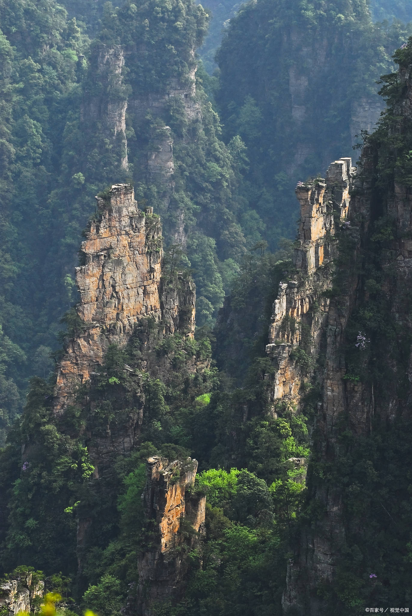 浙江仙华山景区图片图片