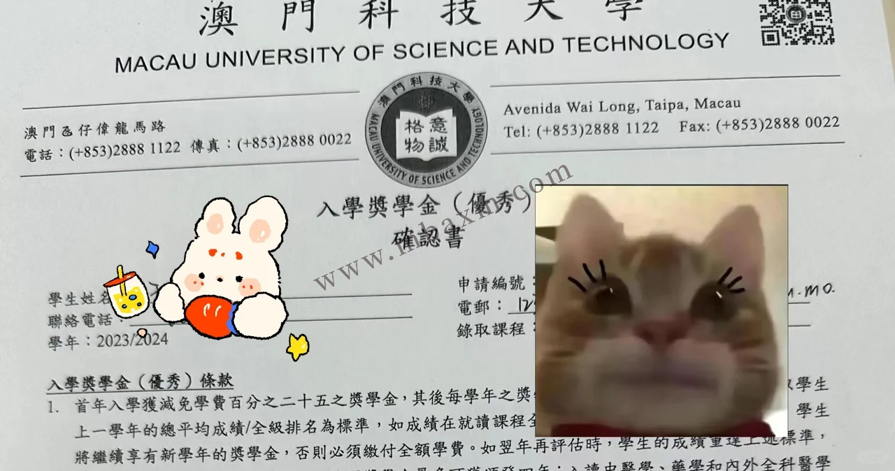 澳门科技大学世界qs排名500 高考一本线申请本科保录,官网招生奖学金