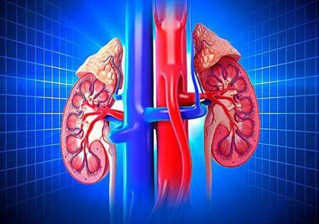 吃辣椒,到底是降低血压,还是升高血压?医生揭秘真相,涨知识了_食用_肾