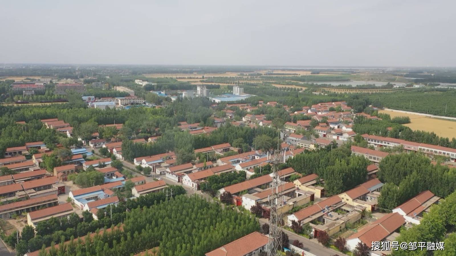 邹平:全面突破三农优先领先工程 有力有效推进乡村全面振兴_建设_农村