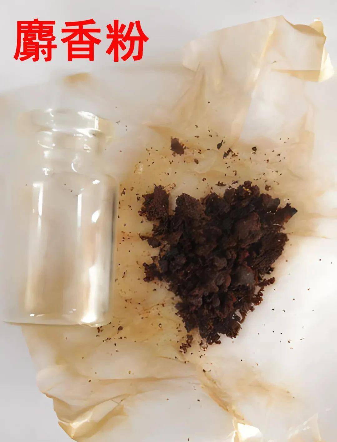往饵料里加"三种料",有帮助_麝香_价格_的比例