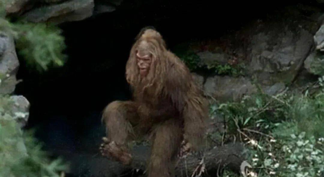 是长白山野人劫走了媳妇吗?