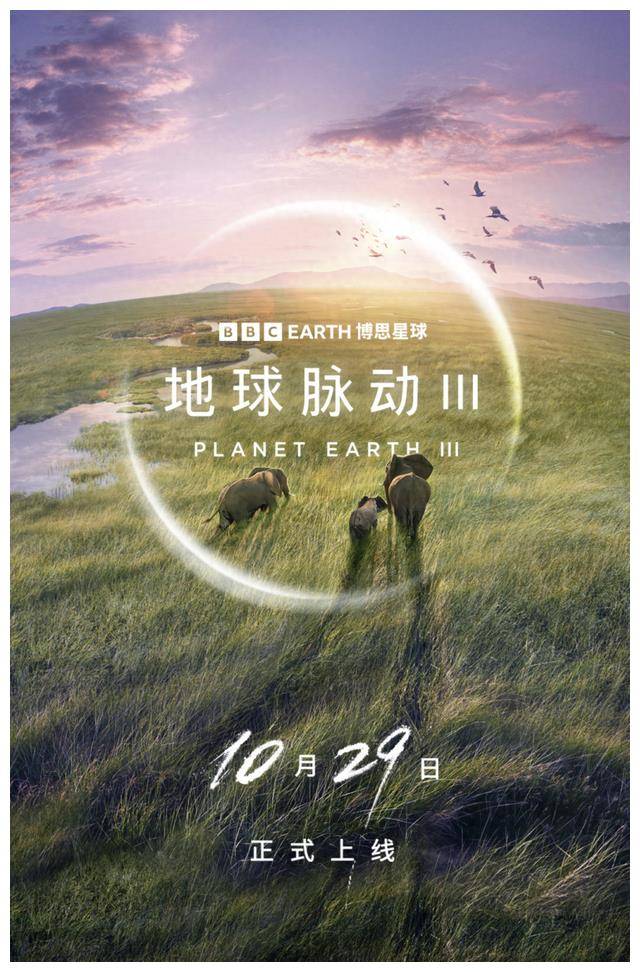 史上零差评,每一帧都令人颤抖,高清震撼力,无可挑剔_生命_地球_自然