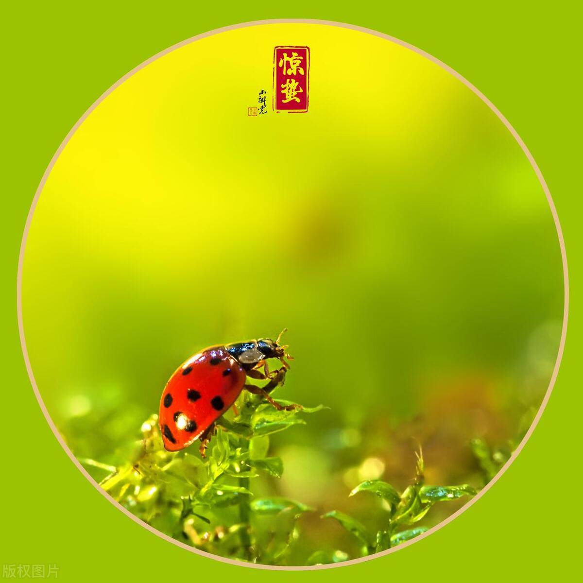 惊蛰到，老话说“惊蛰有三怕”，指的是哪三怕？对生活有何影响？_搜狐网