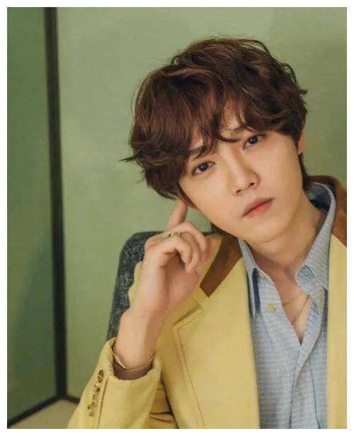 鹿晗涉及经纪人行为引发粉丝不满真相曝光