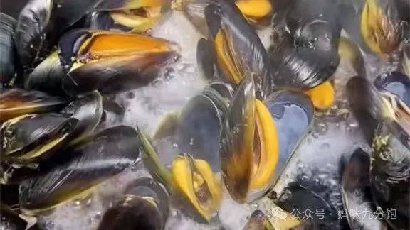 具体做法:海虹,鸡蛋,韭菜,食盐,蚝油,食用油,生姜.