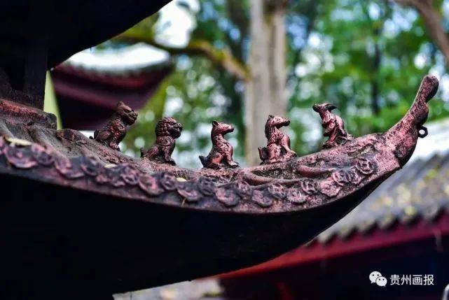 到人间净土,见闻增福_东山寺_寺庙_tips