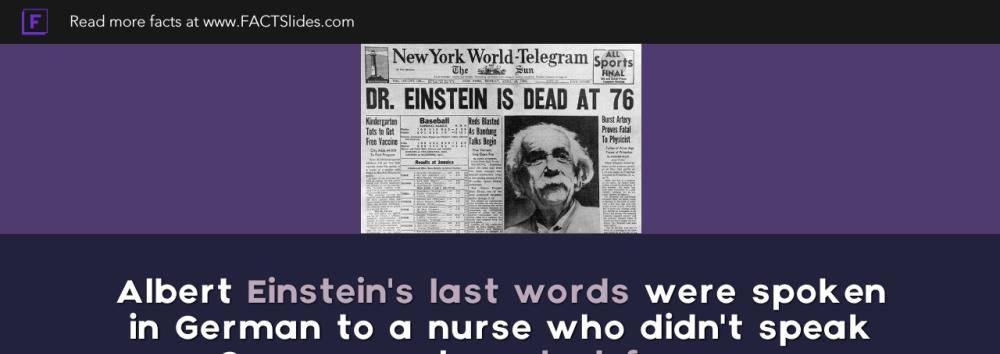 爱因斯坦去世后,大脑被分成240块切片,研究发现与常人