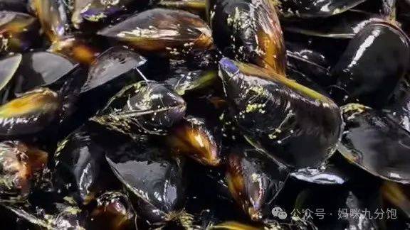 去海边的工具,挖的东西桶水鞋,准备好我们三个女人就骑电动车出发了