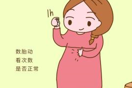 怀孕四个月怎么办子宫图片