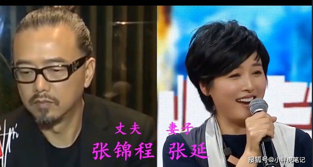 男人婆张延事业巅峰时嫁给张锦程,连奕名的老婆竟是她?
