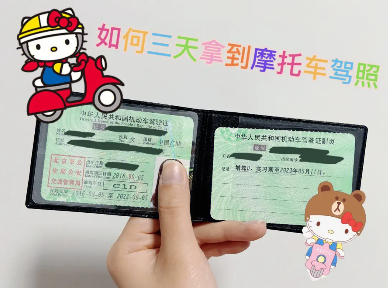 明确了!持c1d证14种车都能开,出行更方便,申请条件一次说明白_搜狐汽