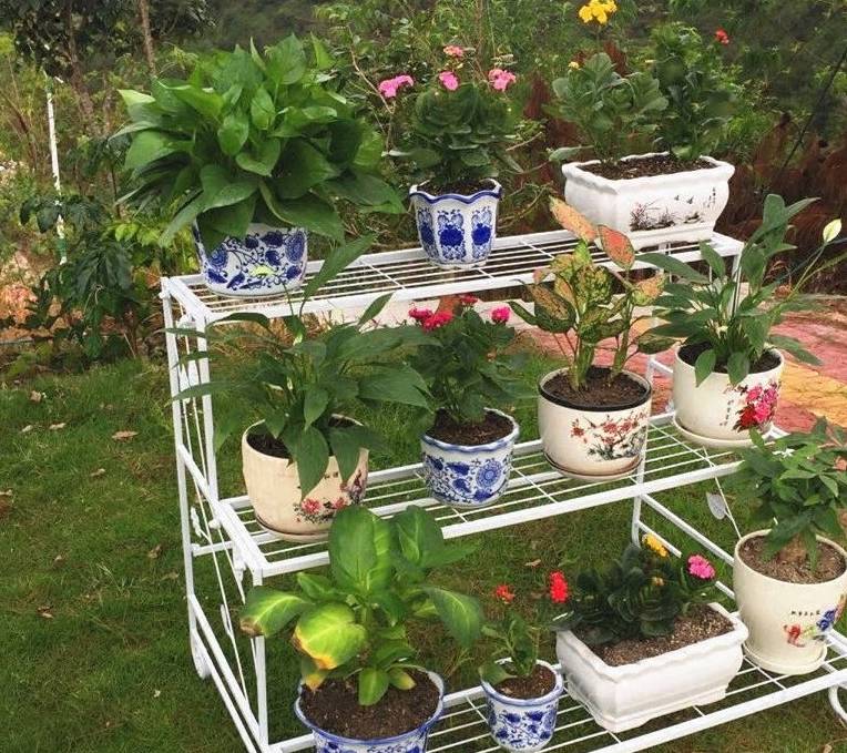 阳台花卉太多怎么办?试试这几种方法,好看又整齐_花架_花盆_空间