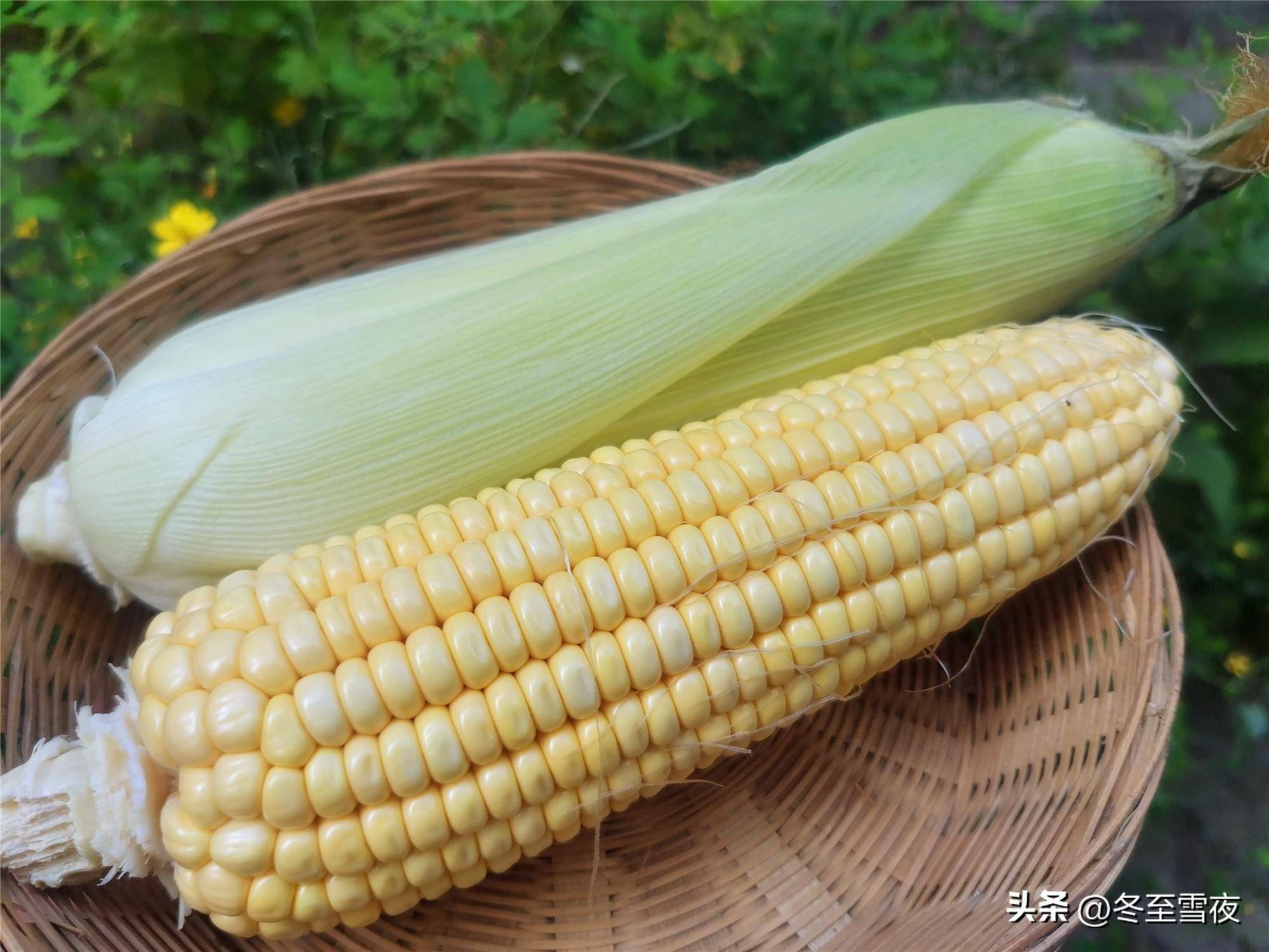 新鲜玉米怎样保存好教你这样做冬季拿出来吃味道新鲜如初