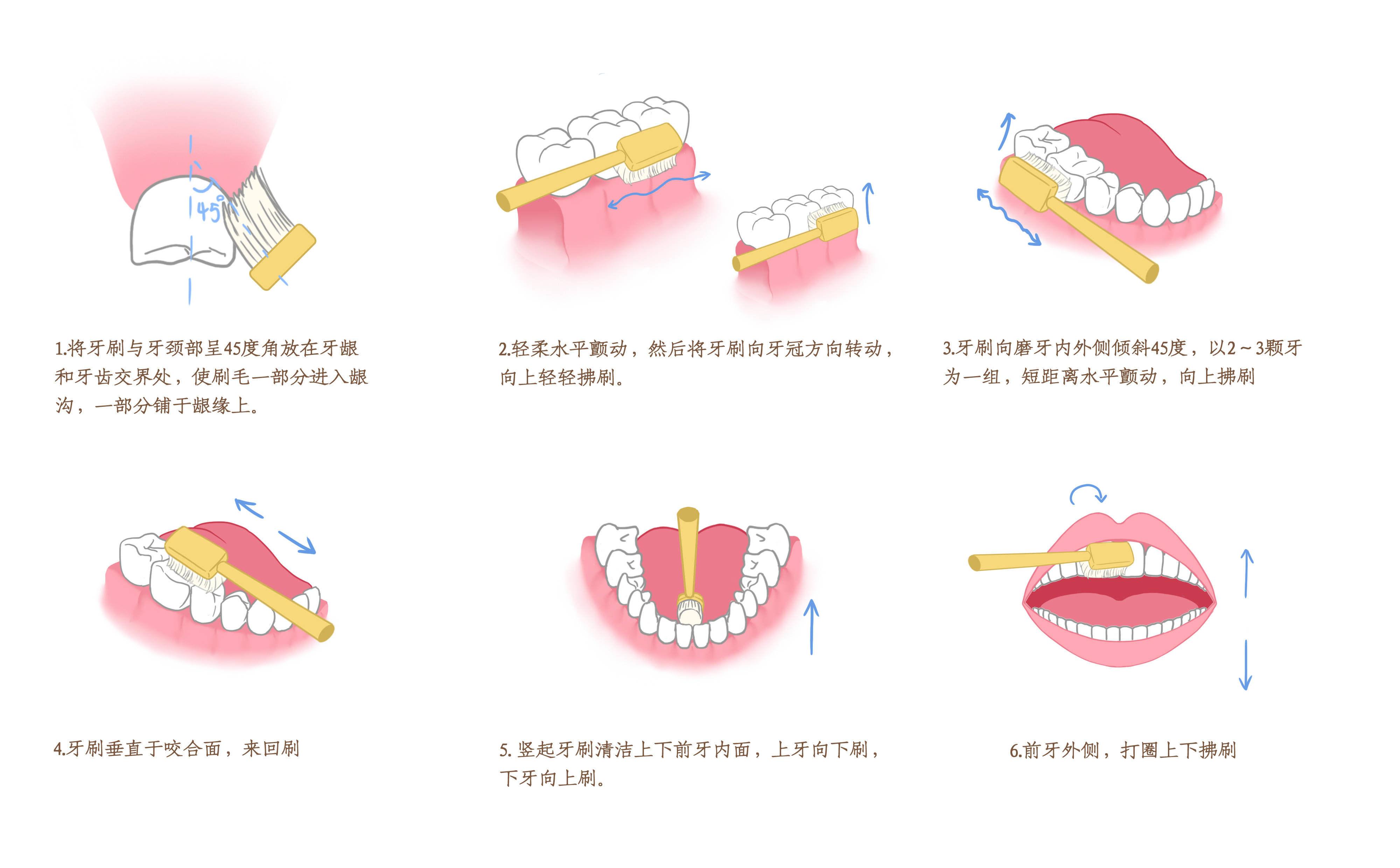 正确刷牙姿势图片