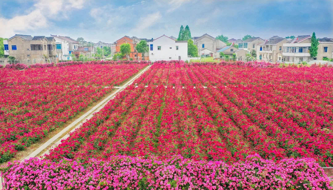 宜兴市徐舍镇浦泰熙和府售楼处电话4000000460转6868售楼中心