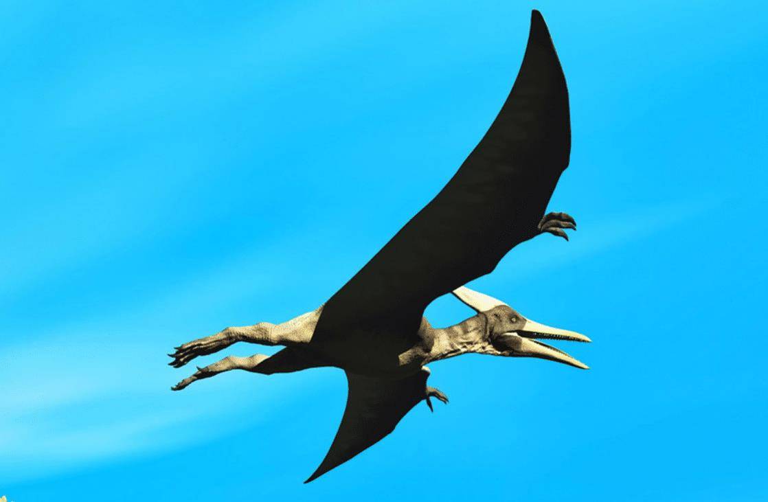 原创1864年美国士兵击落一条远古翼龙还拍下照片做证据没ps痕迹